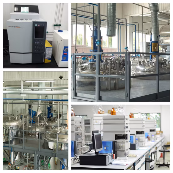 Fornitore della Cina Nitrato di ammonio di calcio di alta qualità al prezzo di fabbrica